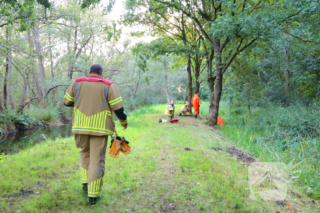 Oude vrouw gered uit sloot tijdens wandeling