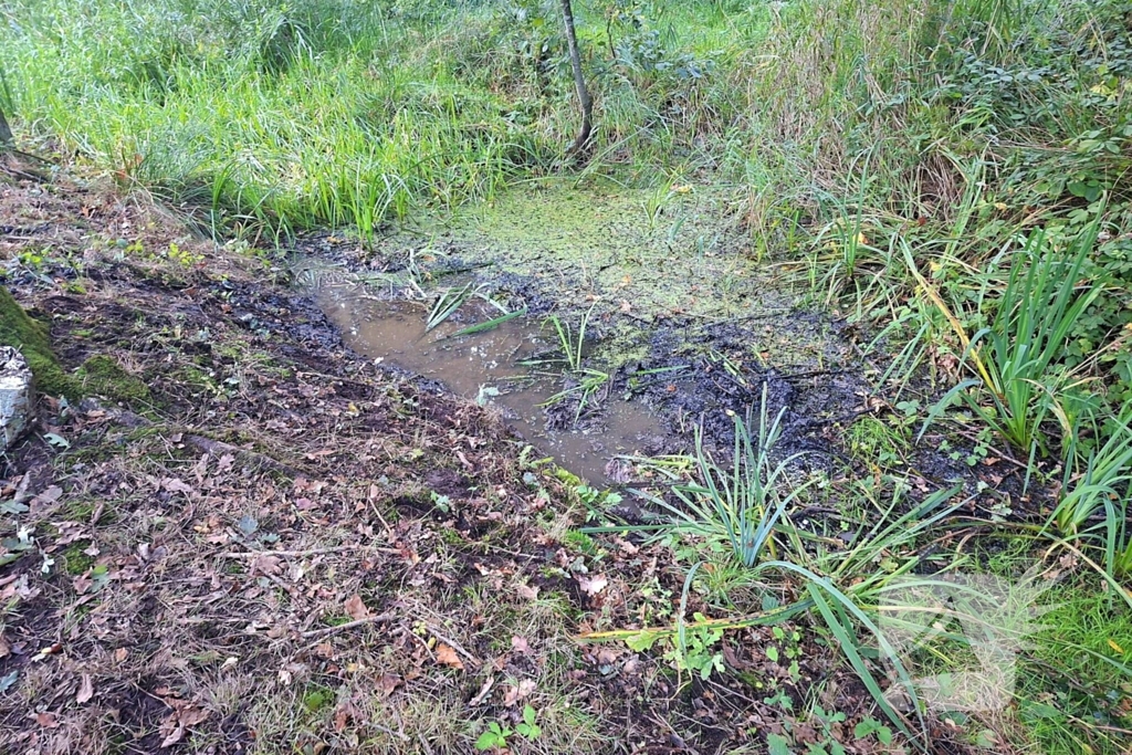 Oude vrouw gered uit sloot tijdens wandeling