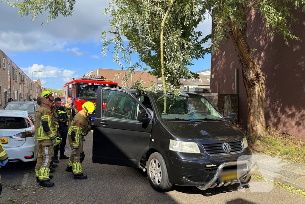 Boomtak doorboort vooruit bestelbus