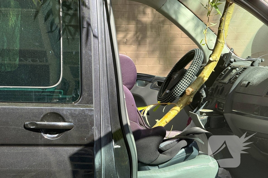 Boomtak doorboort vooruit bestelbus