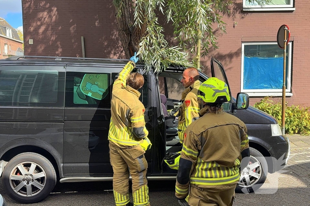 Boomtak doorboort vooruit bestelbus