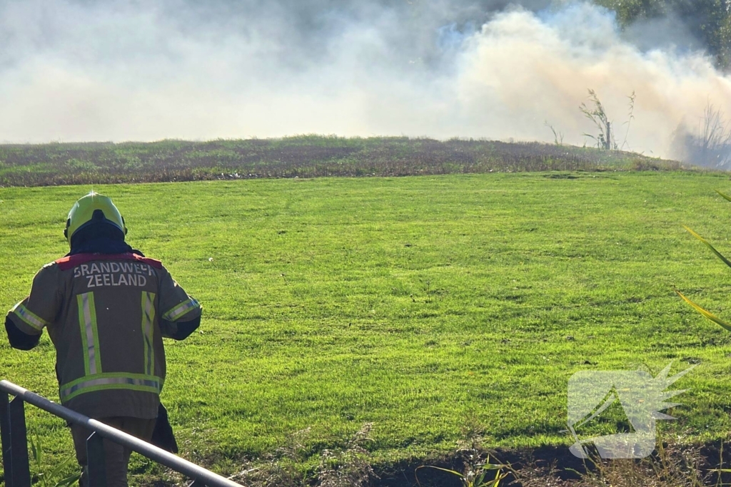 Brand in bramenstruiken zorgt voor hevige rookontwikkeling