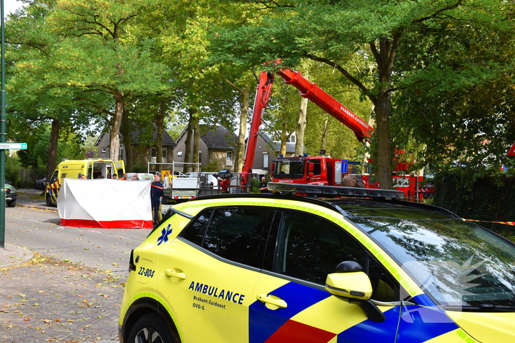 Man overlijdt na ongeluk tijdens boom snoeien