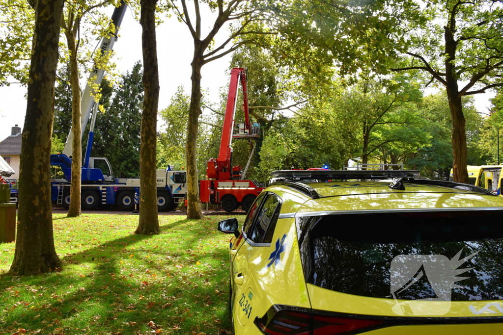 Man overlijdt na ongeluk tijdens boom snoeien