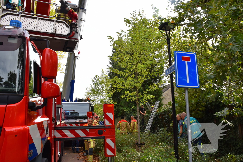 Man overlijdt na ongeluk tijdens boom snoeien