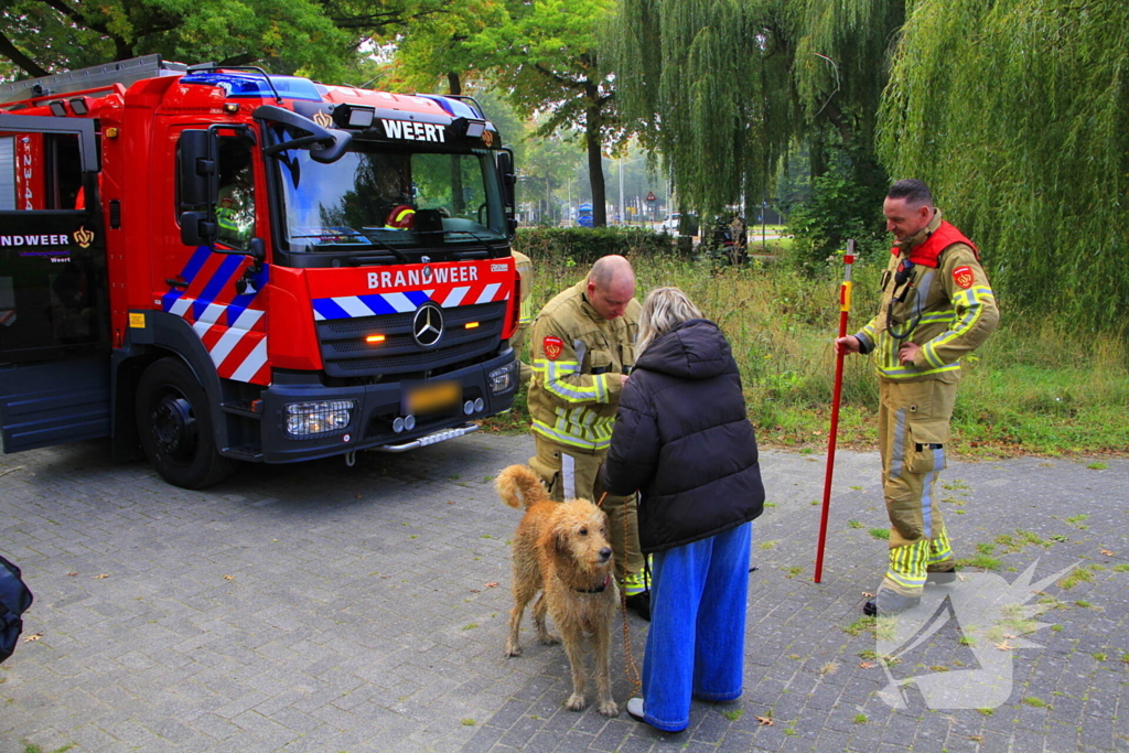 Hondje Rex gered uit water