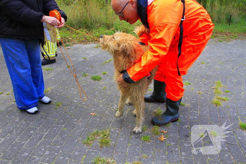 Hondje Rex gered uit water
