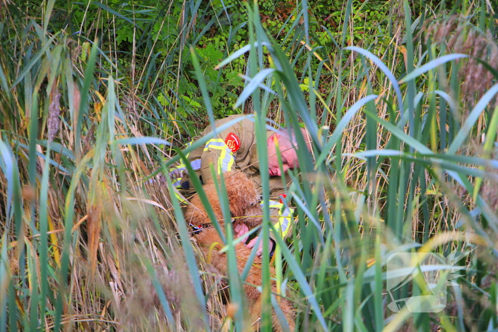 Hondje Rex gered uit water