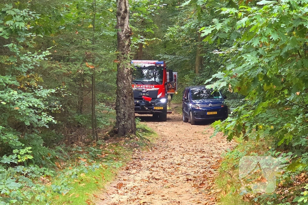 Brand in bosgebied snel geblust