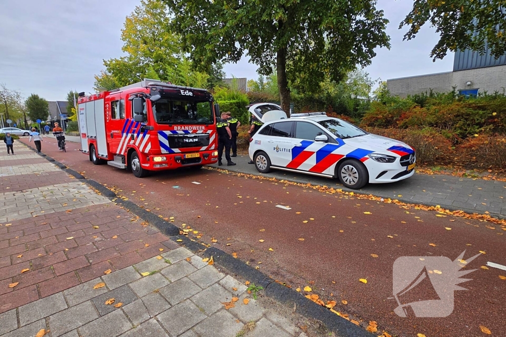 Brand in bijgebouw snel onder controle