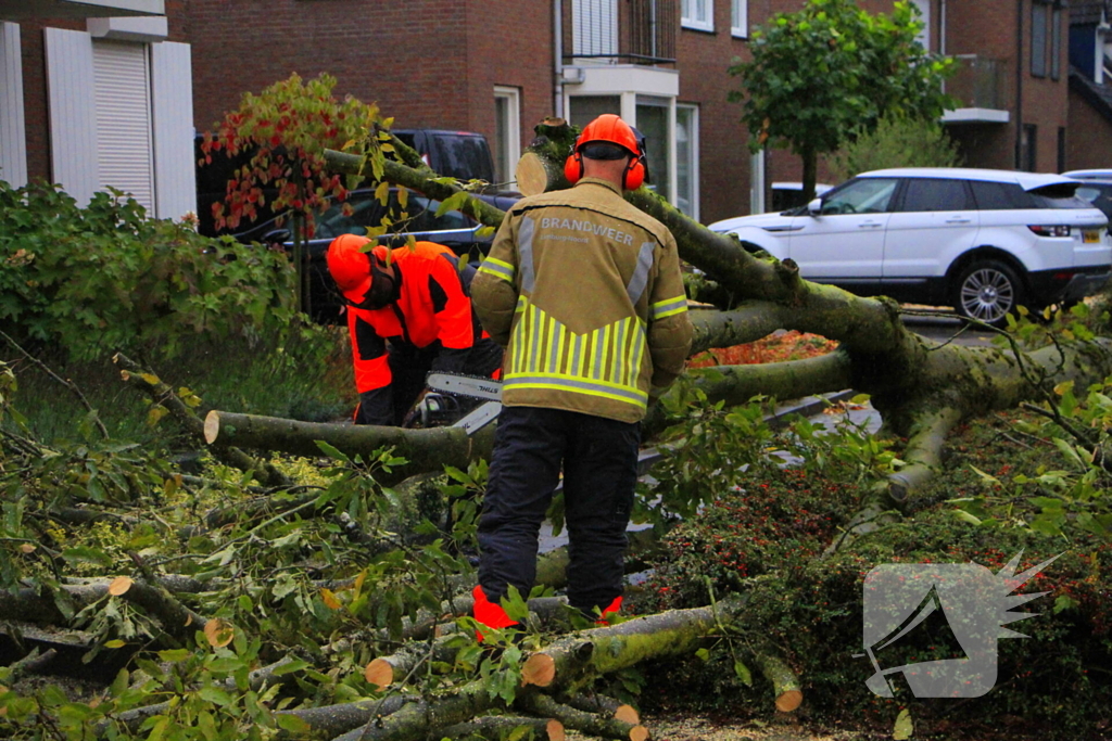 Storm veroorzaakt schade door omgevallen boom