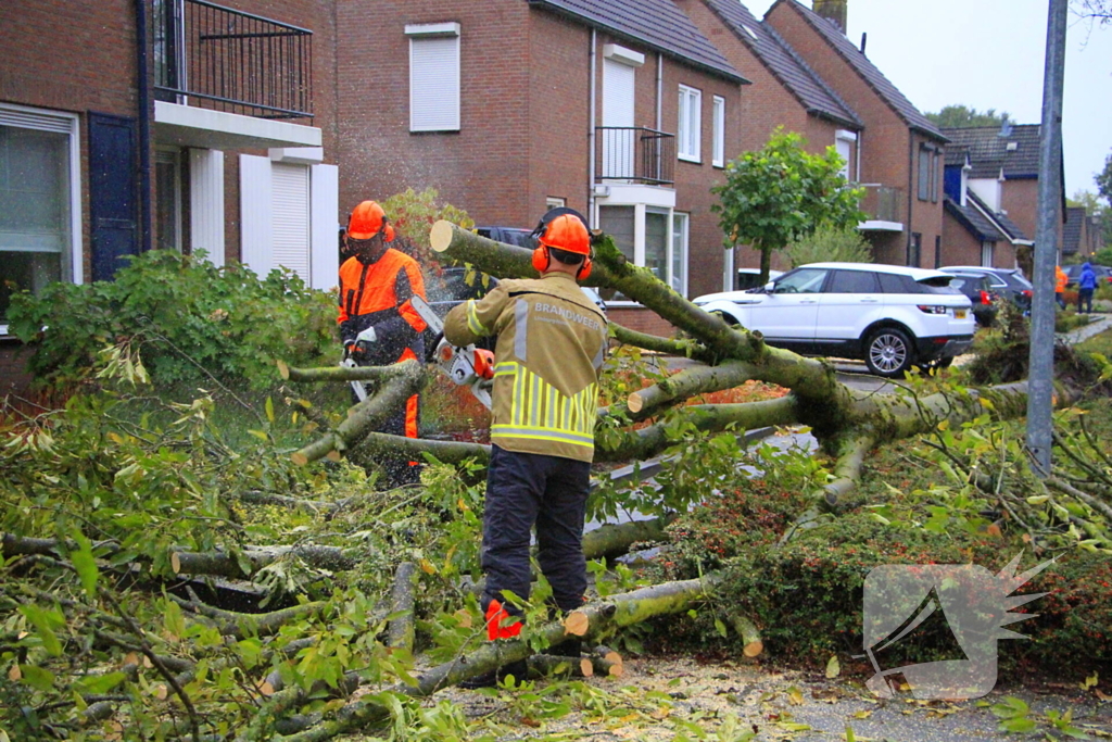 Storm veroorzaakt schade door omgevallen boom