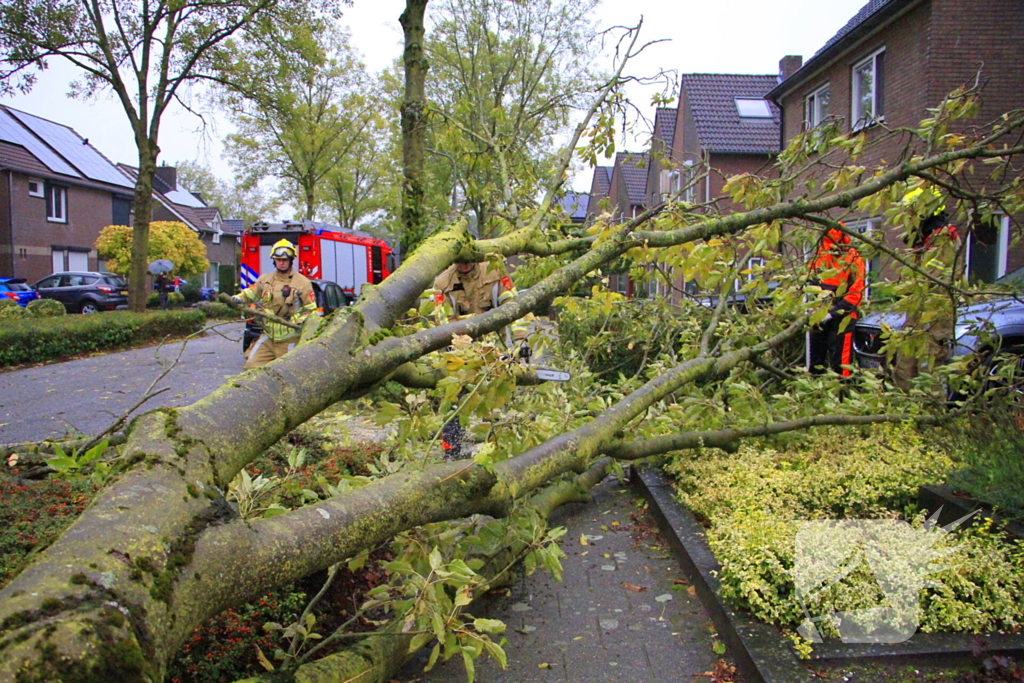 Storm veroorzaakt schade door omgevallen boom