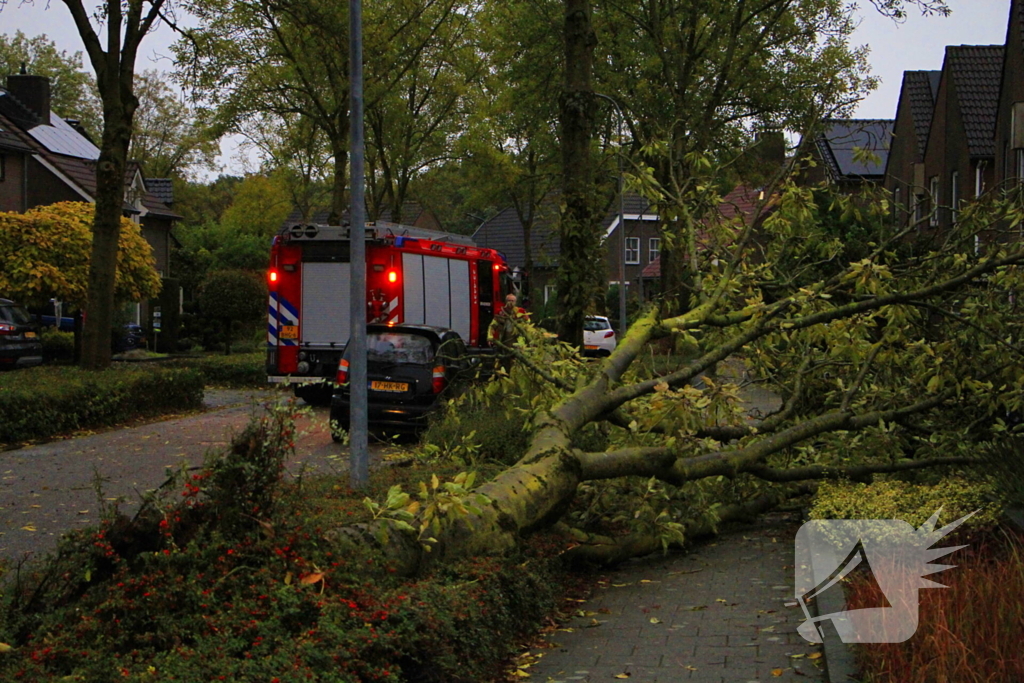 Storm veroorzaakt schade door omgevallen boom