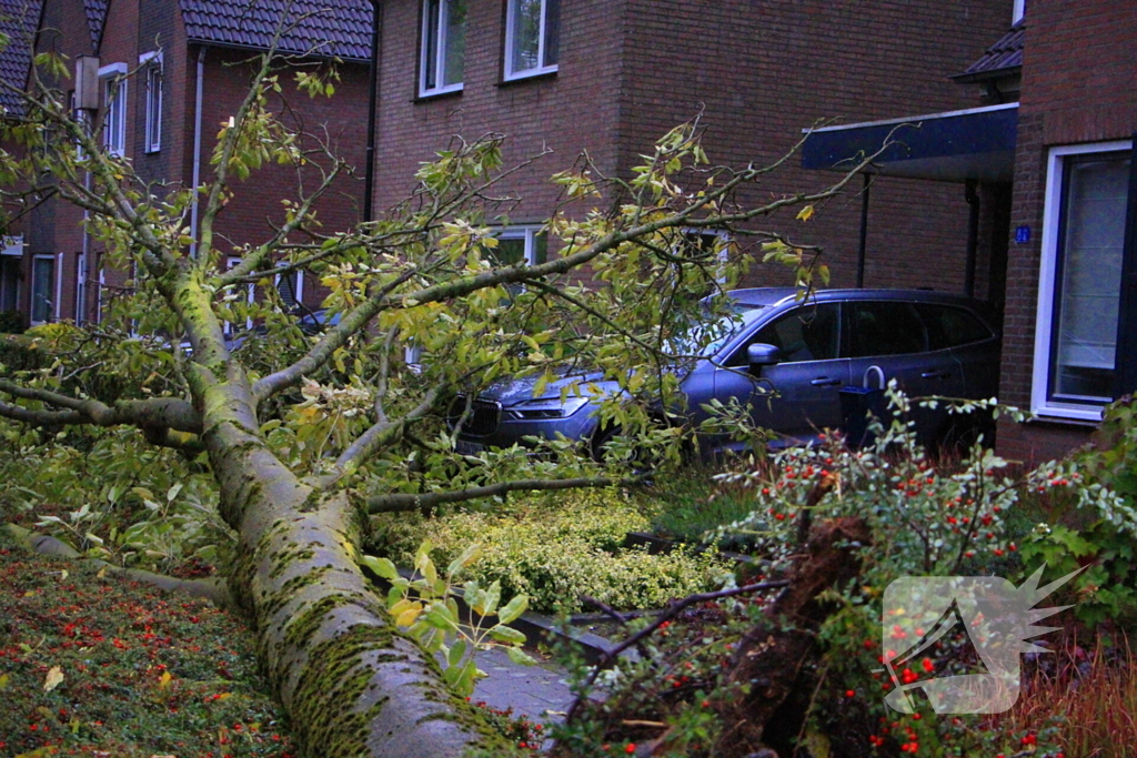 Storm veroorzaakt schade door omgevallen boom
