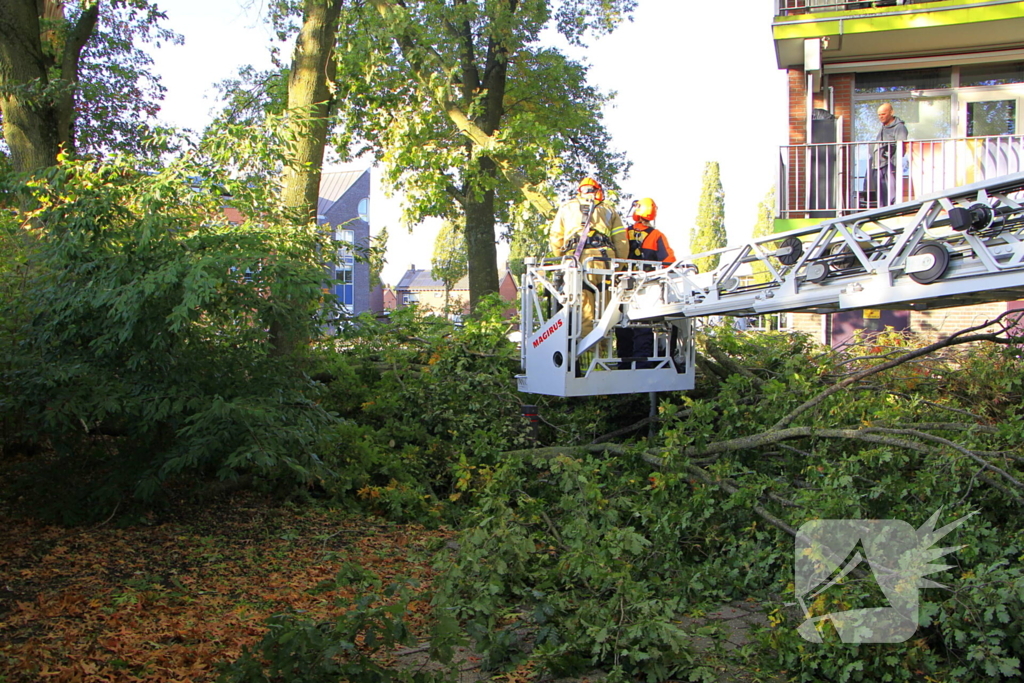Storm veroorzaakt schade door afgebroken takken