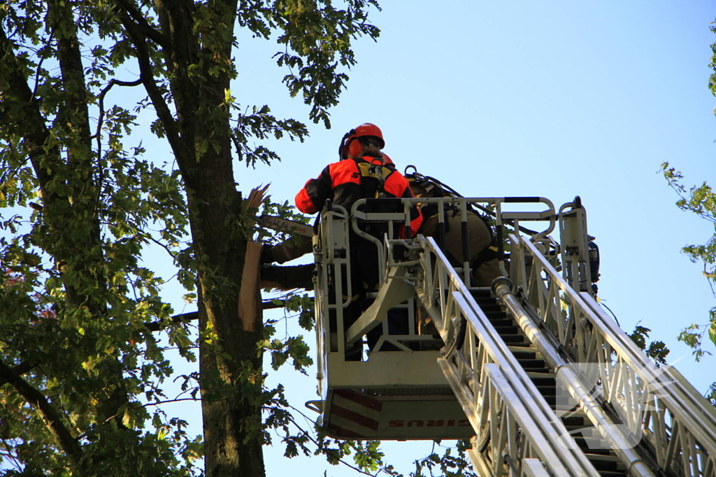 Storm veroorzaakt schade door afgebroken takken
