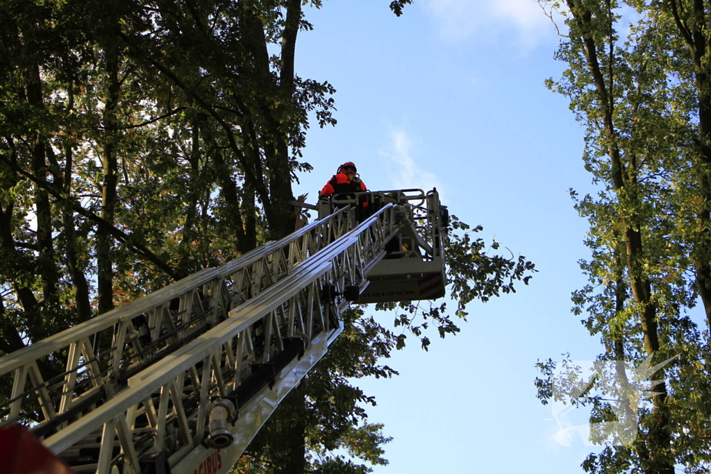 Storm veroorzaakt schade door afgebroken takken
