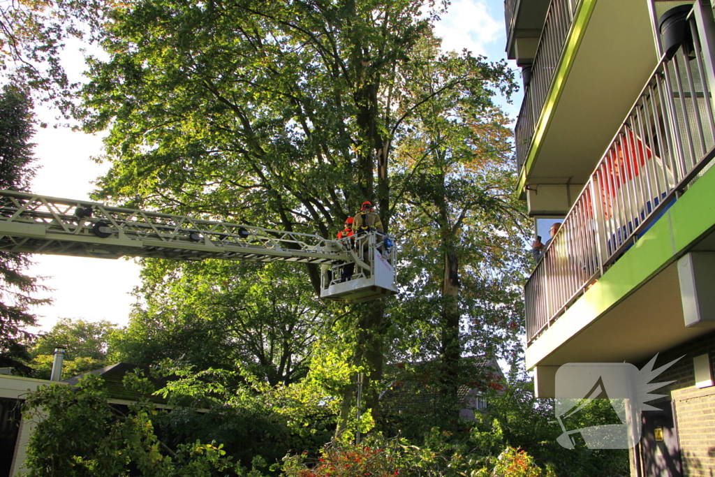 Storm veroorzaakt schade door afgebroken takken