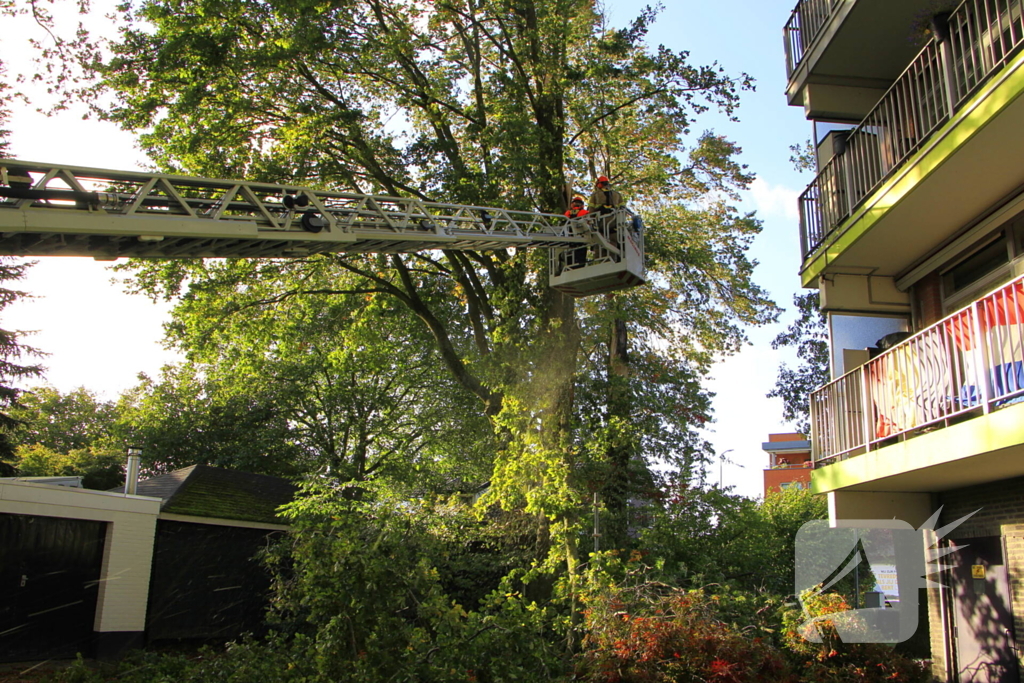 Storm veroorzaakt schade door afgebroken takken