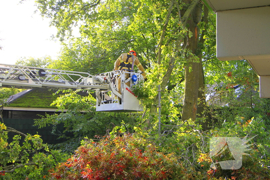 Storm veroorzaakt schade door afgebroken takken