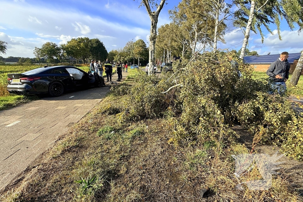 Auto vliegt uit de bocht en botst tegen boom