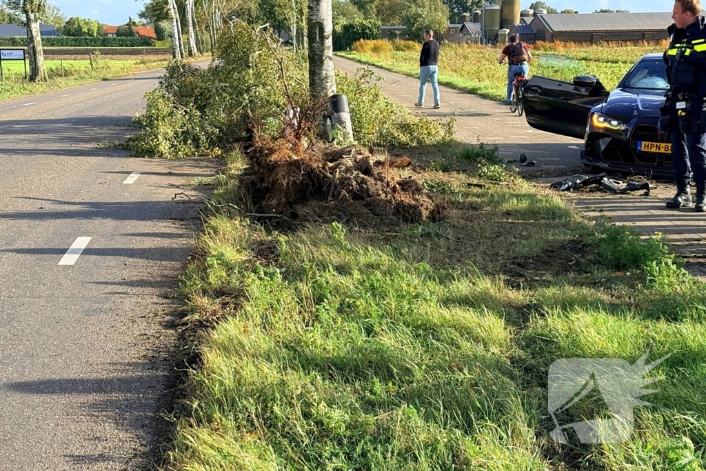 Auto vliegt uit de bocht en botst tegen boom