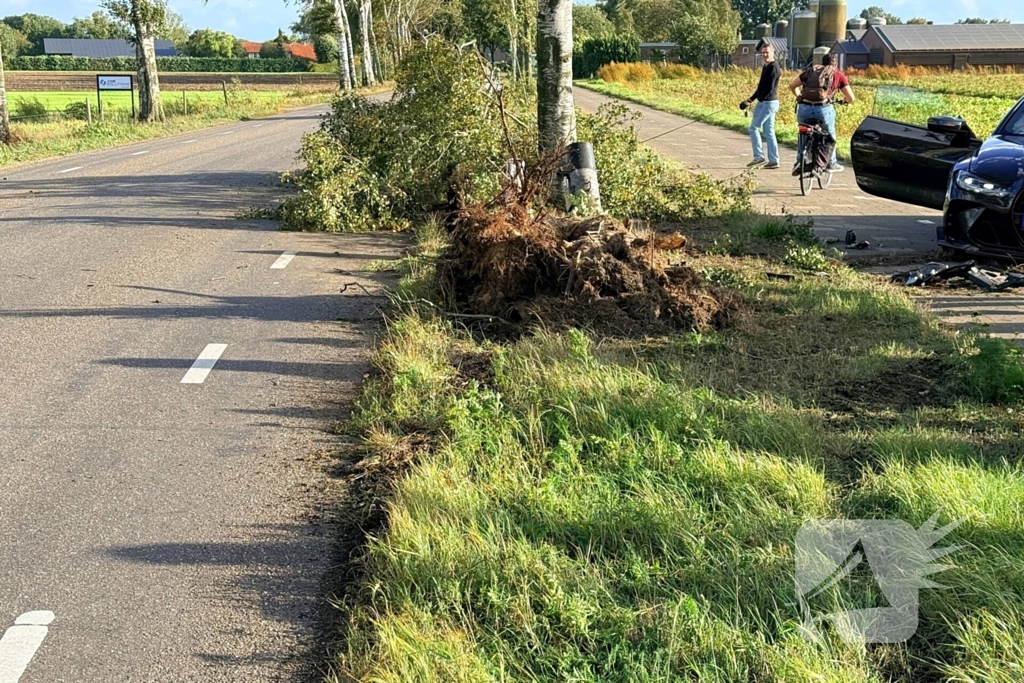 Auto vliegt uit de bocht en botst tegen boom