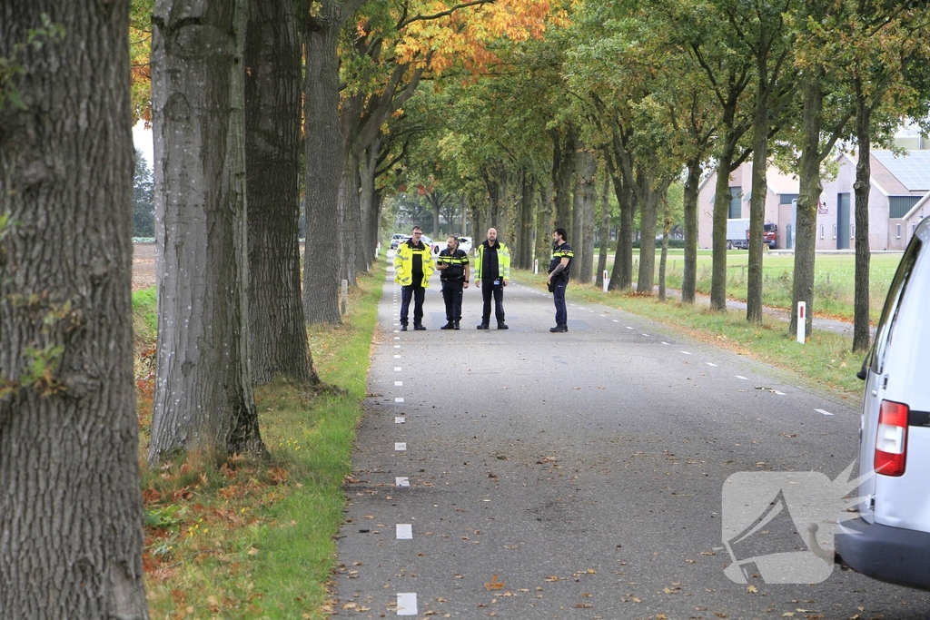 Bestelbus botst tegen boom