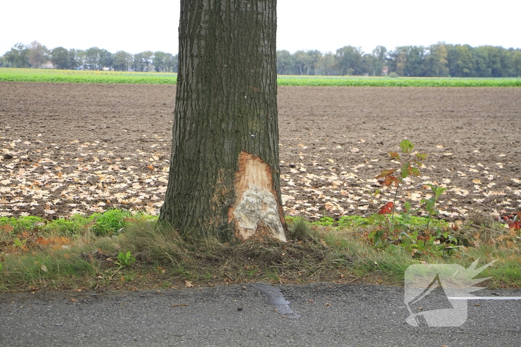 Bestelbus botst tegen boom
