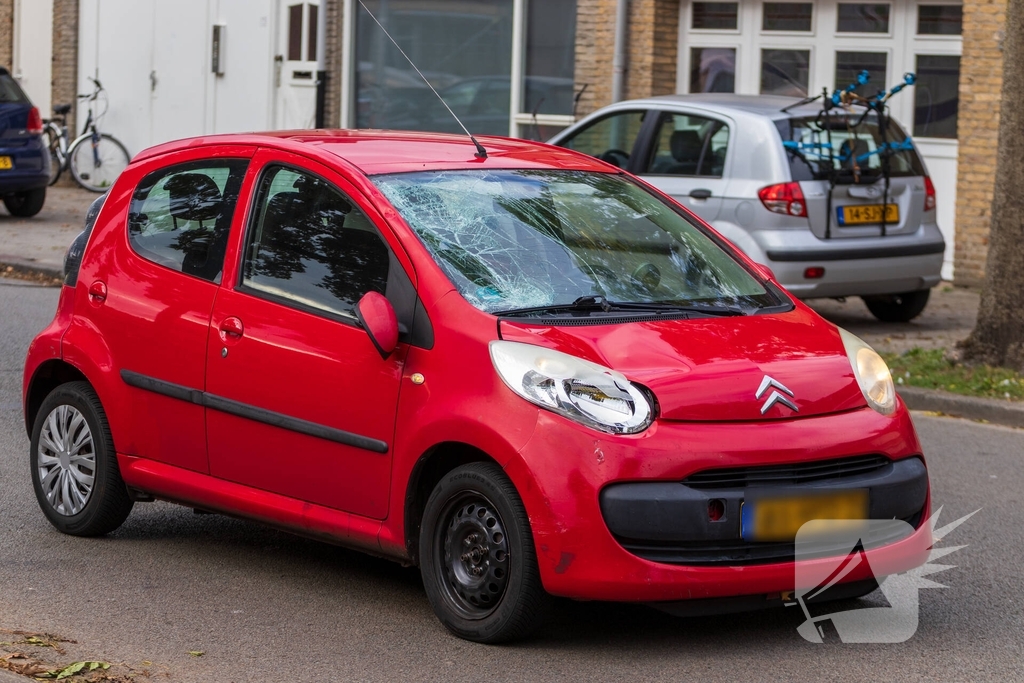 Kind (10) doodgereden bij aanrijding