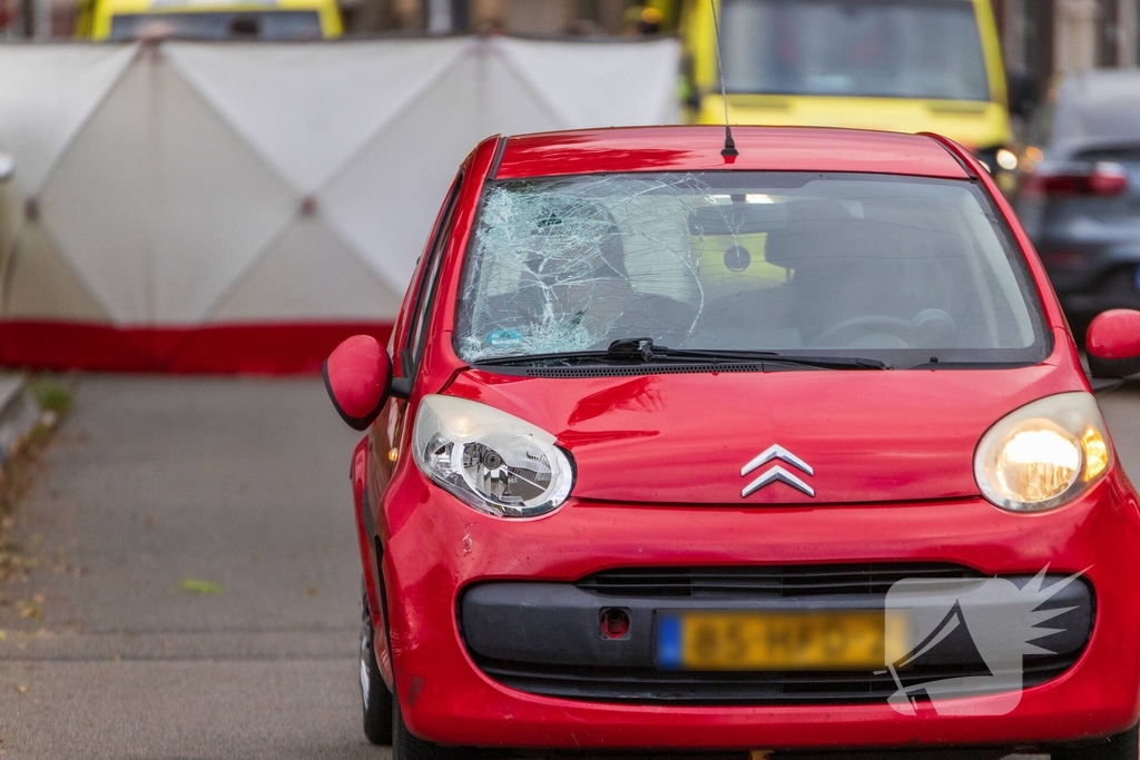 Kind (10) doodgereden bij aanrijding