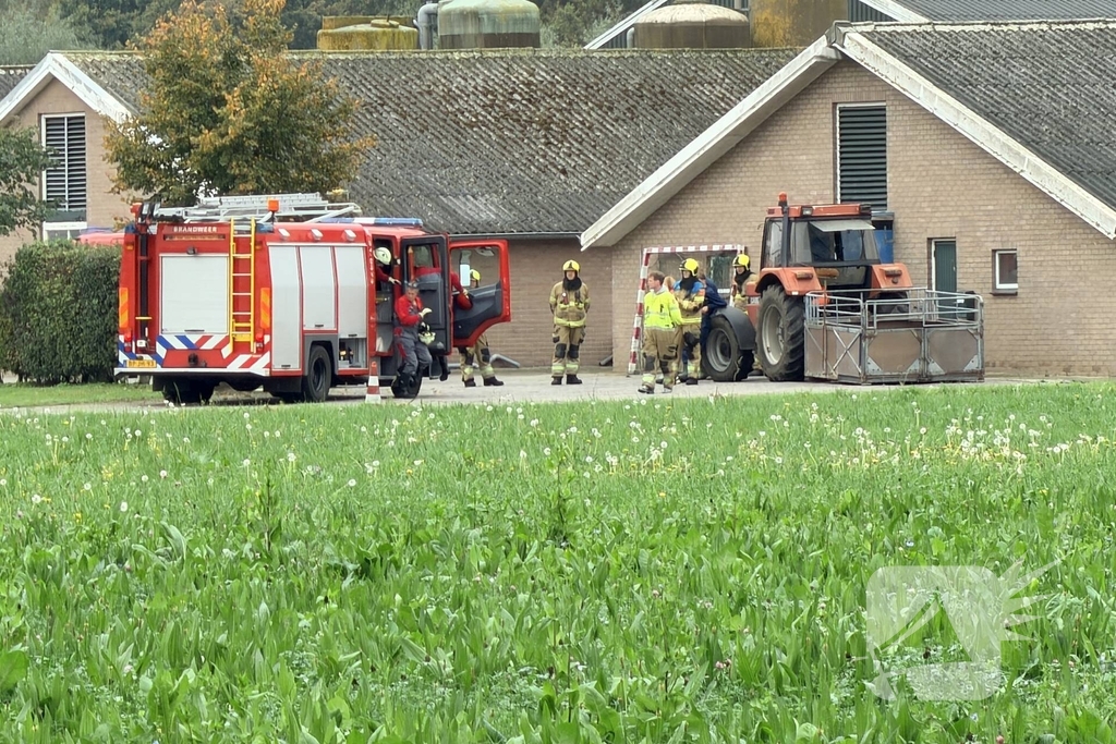 Varkens raken in de problemen bij mestput