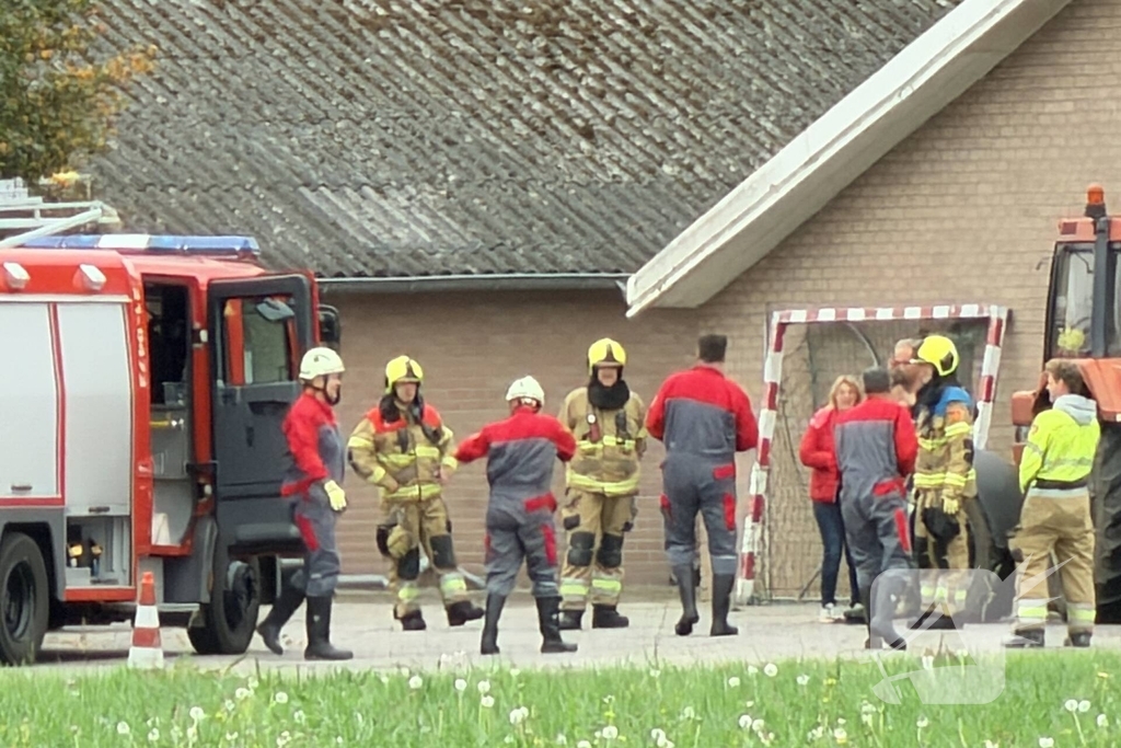 Varkens raken in de problemen bij mestput