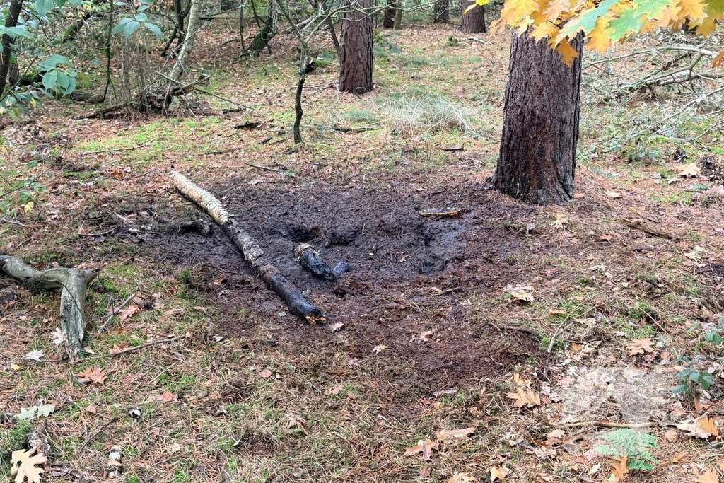 Meerdere kleine bosbrandjes in de regio