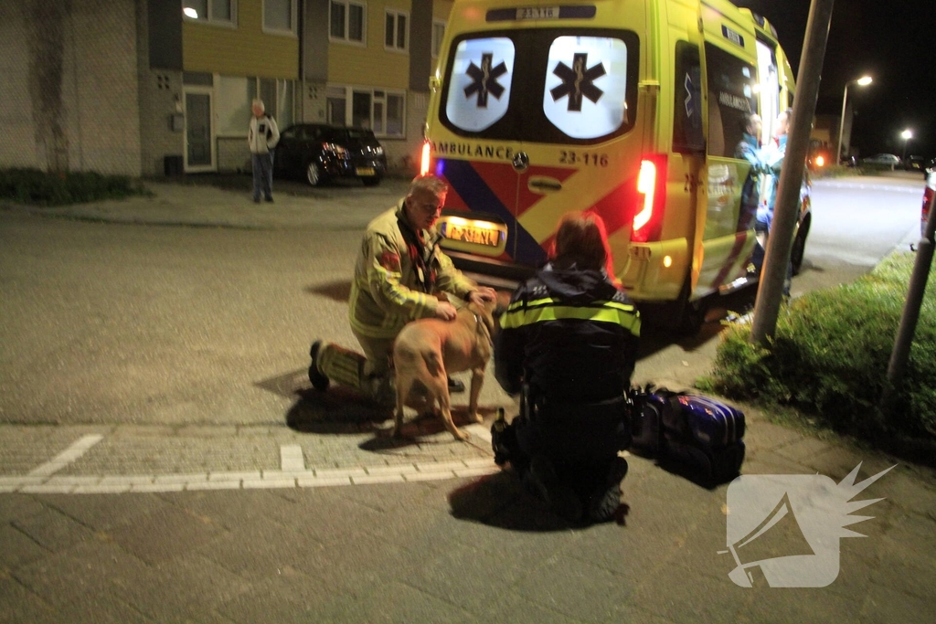 Brand in woning door pan op het vuur