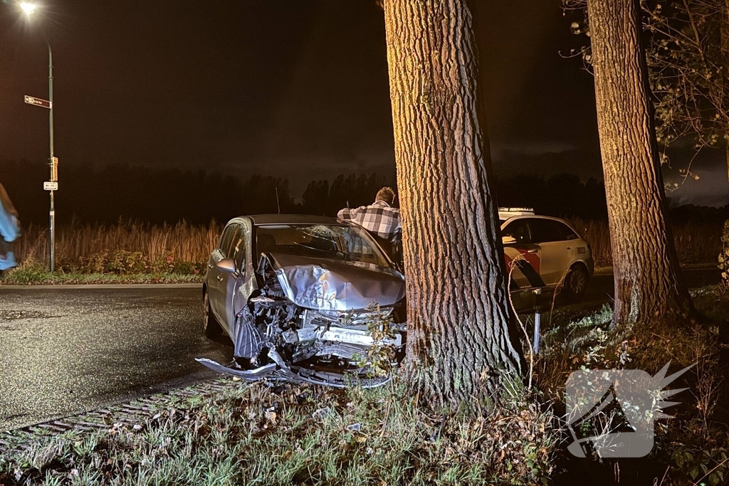 Automobilist botst tegen boom en raakt gewond