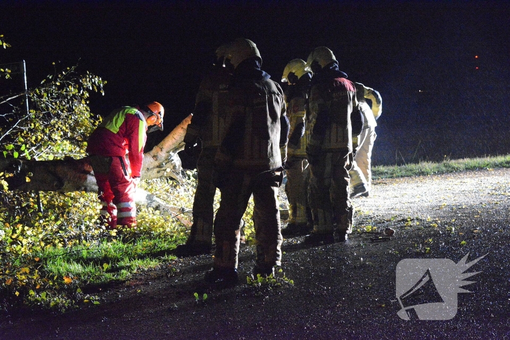 Boom waait om en belandt op weg