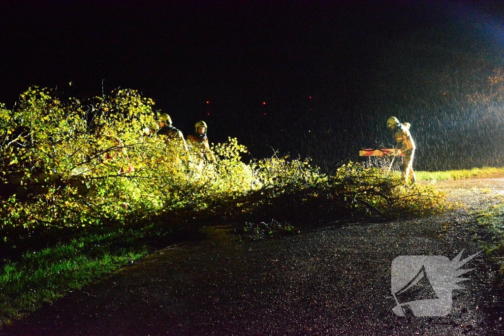 Boom waait om en belandt op weg