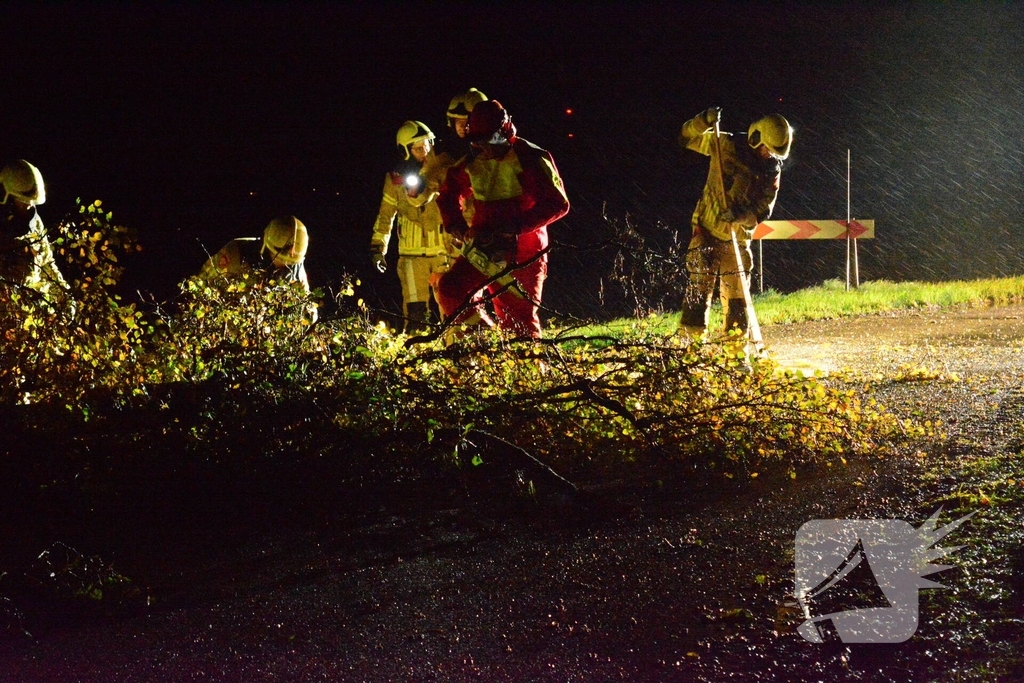 Boom waait om en belandt op weg