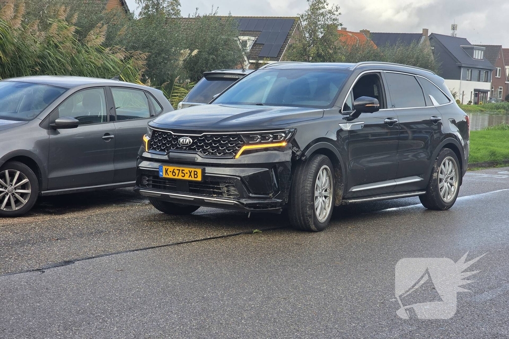 Automobilist ramt palen uit de grond