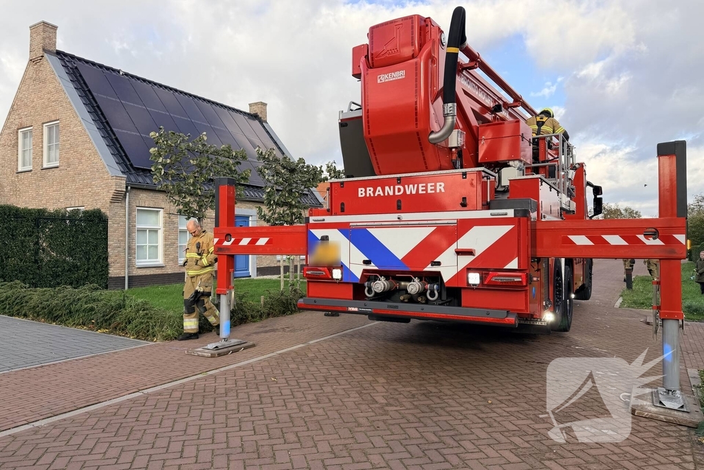 Duif vast aan dakpan