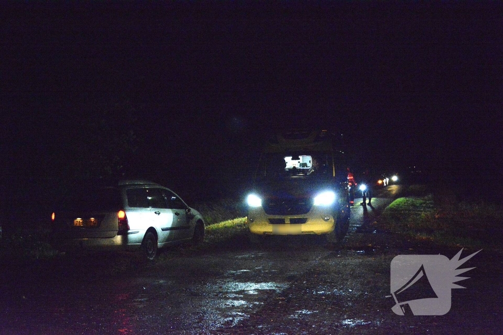 Auto beschadigd na botsing met koe