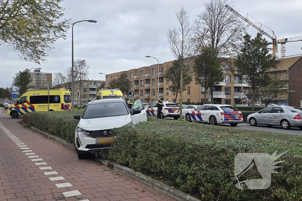 Auto belandt in bosschages