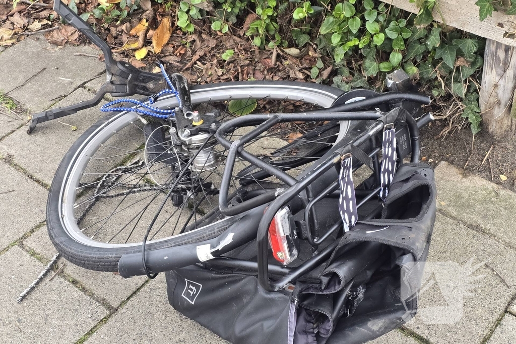 Auto belandt in bosschages