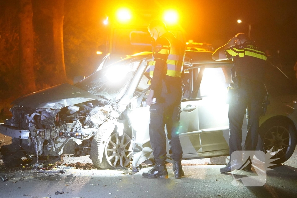 Auto botst tegen boom, bestuurder gewond