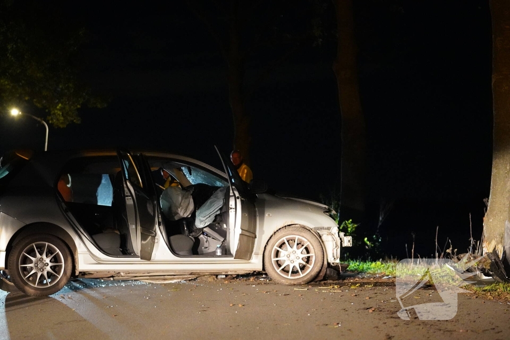 Auto botst tegen boom, bestuurder gewond