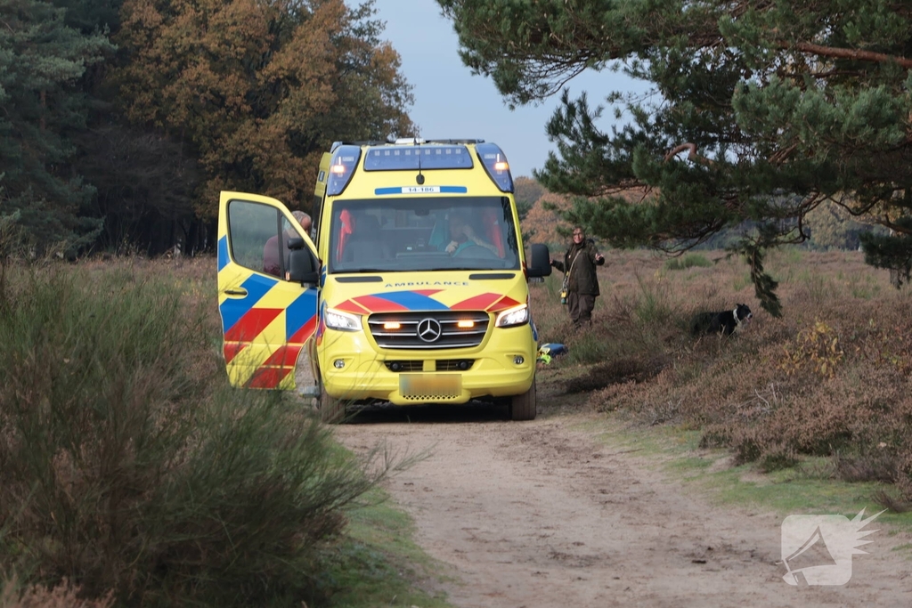 Ruiter valt van paard, hulpdiensten ingeschakeld