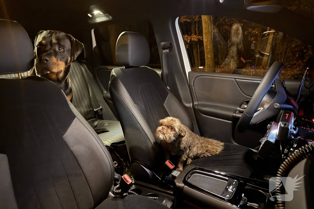 Vrouw gewond na aanrijding met bestelbusje