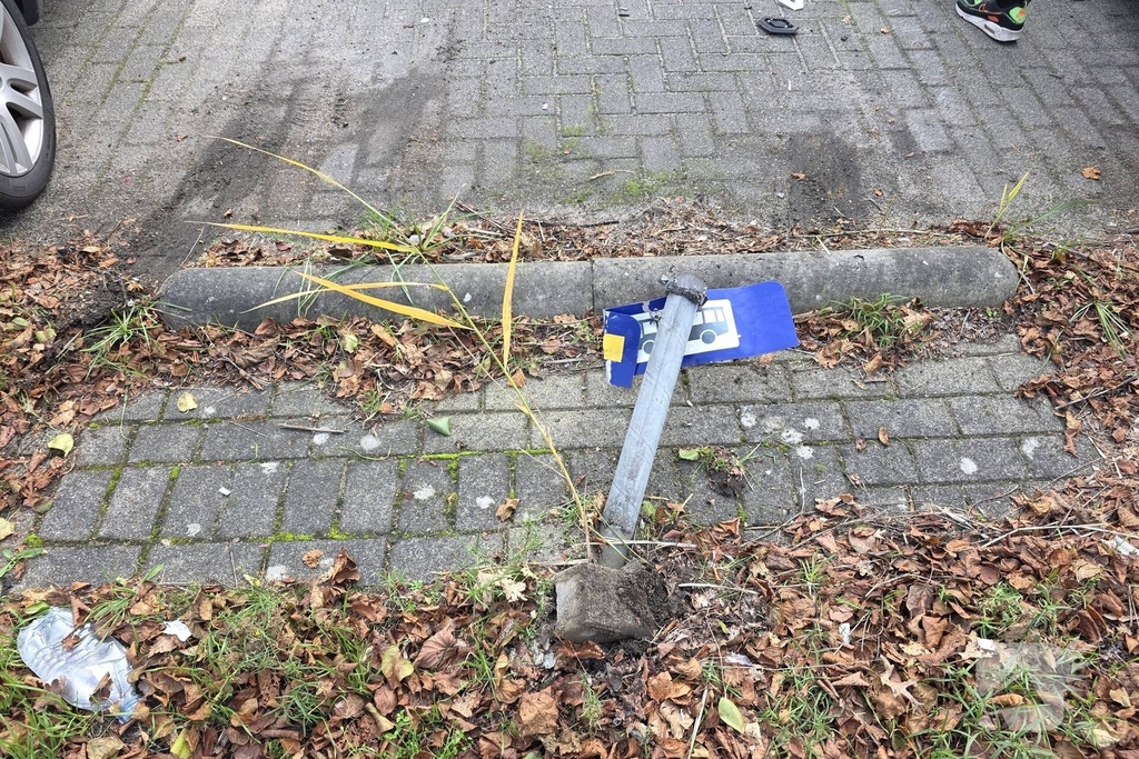 Auto ramt geparkeerde wagen na ongeval